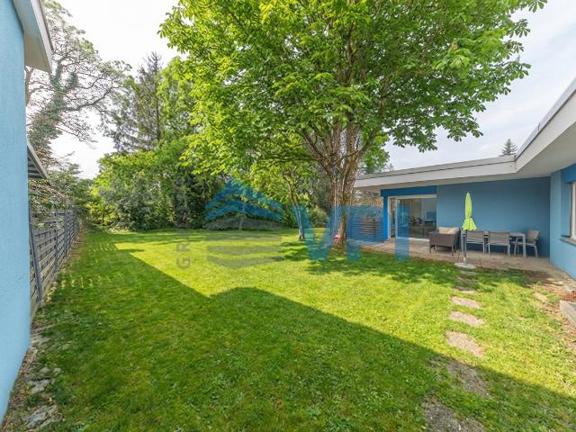 Haus kaufen in Meyrin