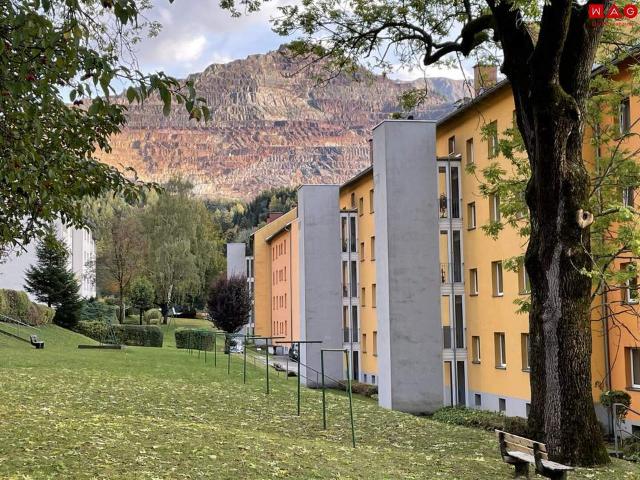 Wohnung mieten in Leoben, Bezirk Leoben