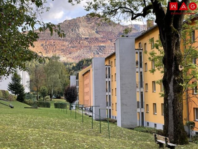 Wohnung mieten in Eisenerz, Bezirk Leoben