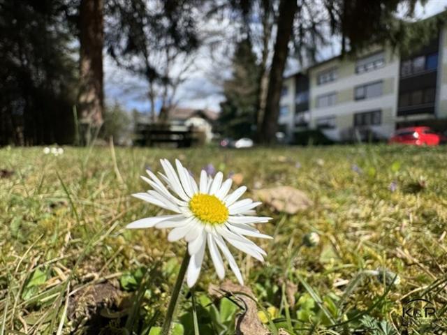 Etagenwohnung kaufen in Villach-Warmbad Villach