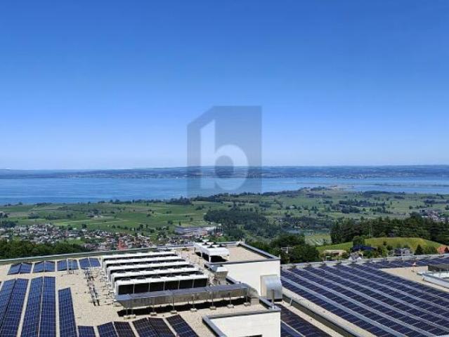 Einfamilienhaus kaufen in Walzenhausen, Appenzell Ausserrhoden