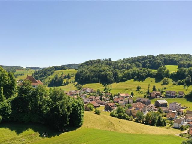 Wohnung kaufen in Schlossrued, Aargau