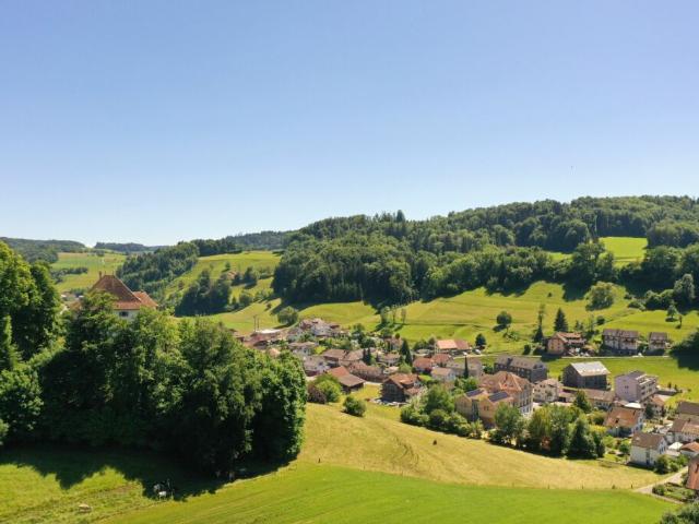 Immobilie kaufen in Schlossrued, Aargau