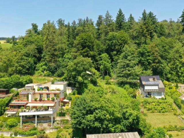 Immobilie kaufen in Rudolfstetten, Aargau