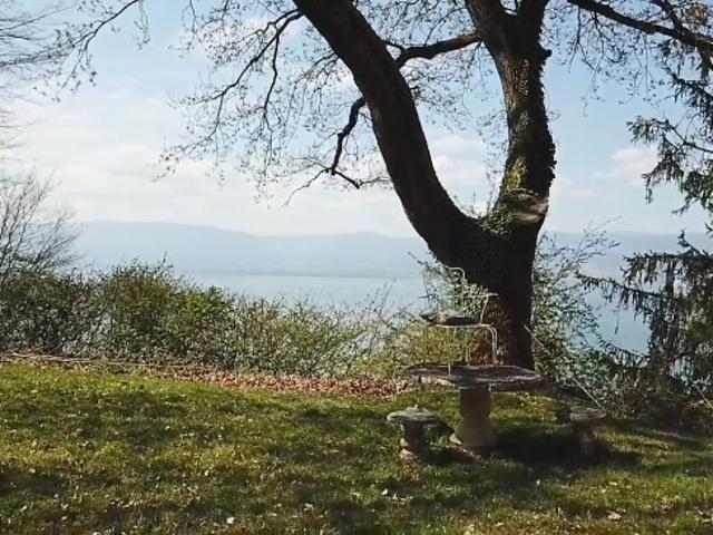 Grundstück kaufen in Chabrey, Waadt