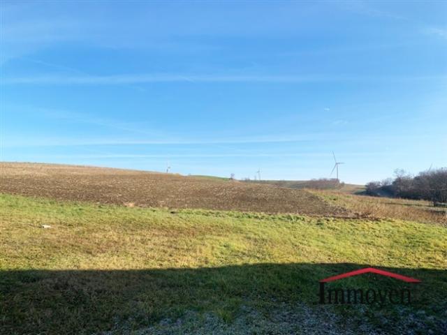 Grundstück kaufen in Wilfersdorf, Niederösterreich