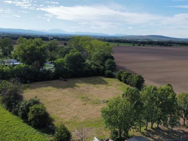 Grundstück kaufen in Siegendorf, Burgenland