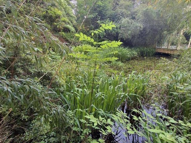 Haus kaufen in Gleisdorf