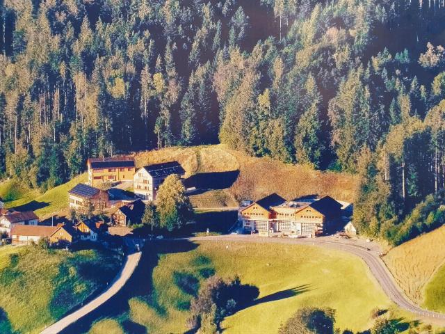 Immobilie kaufen in Haslen (AI), Appenzell Innerrhoden
