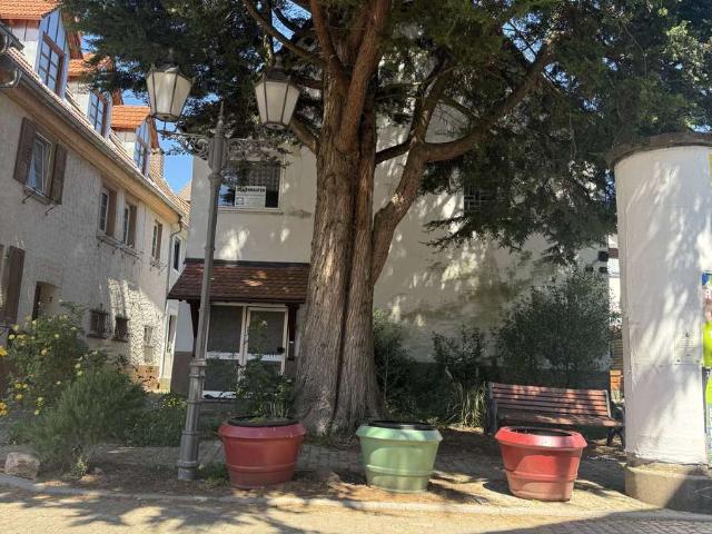 Haus kaufen in Bad Bergzabern, Landkreis Südliche Weinstraße