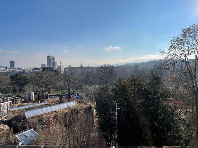 Apartment mieten in Basel, Basel-Stadt