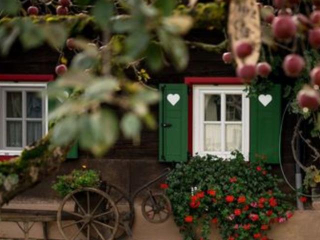Haus kaufen in Stainz, Bezirk Deutschlandsberg