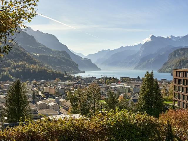 Grundstück kaufen in Ingenbohl, Schwyz