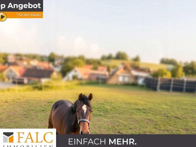 Erdgeschosswohnung kaufen in Modautal, Hessen