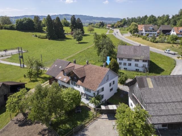 Haus kaufen in Grüningen, Zürich