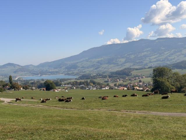Einfamilienhaus kaufen in Vuippens, Marsens