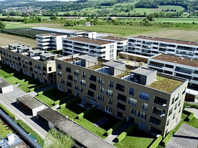 Immobilie mieten in Sursee, Lü