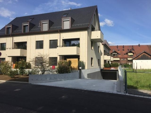 Garage mieten in Birmensdorf (ZH), Zürich