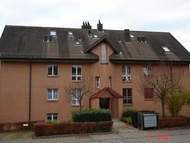 Immobilie mieten in Seuzach, Bezirk Winterthur