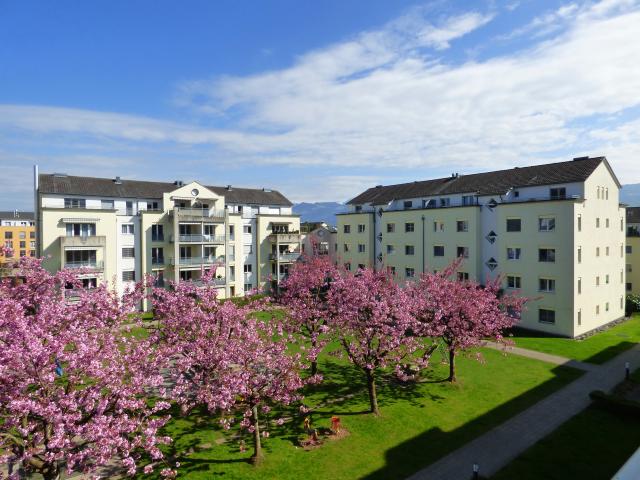 Garage mieten in Jona, Rapperswil-Jona
