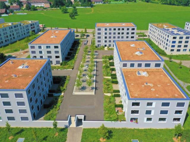 Immobilie mieten in Wil (SG), St. Gallen