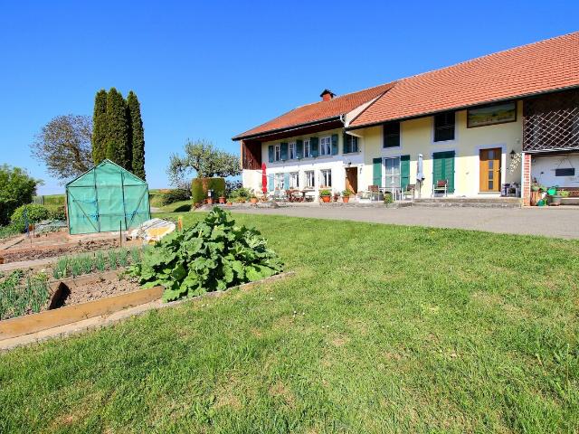 Landwirtschaft kaufen in Cottens (FR), Freiburg