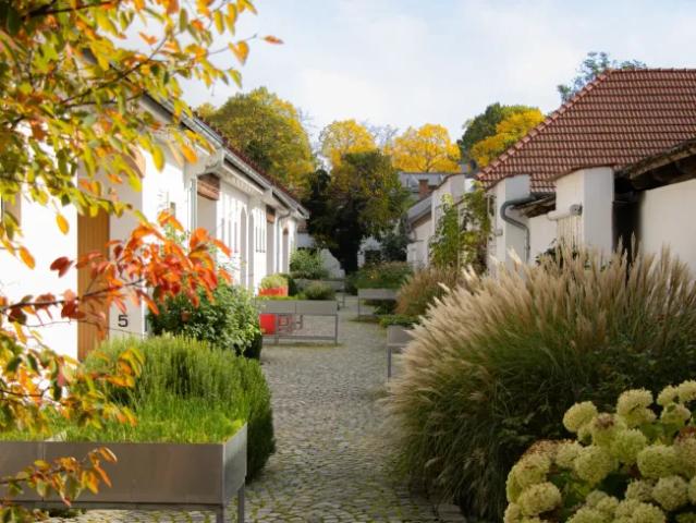 Immobilie mieten in Halbturn, Bezirk Neusiedl am See