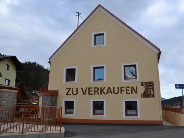 Immobilie kaufen in Katastralgemeinde Kapfenberg, Kapfenberg