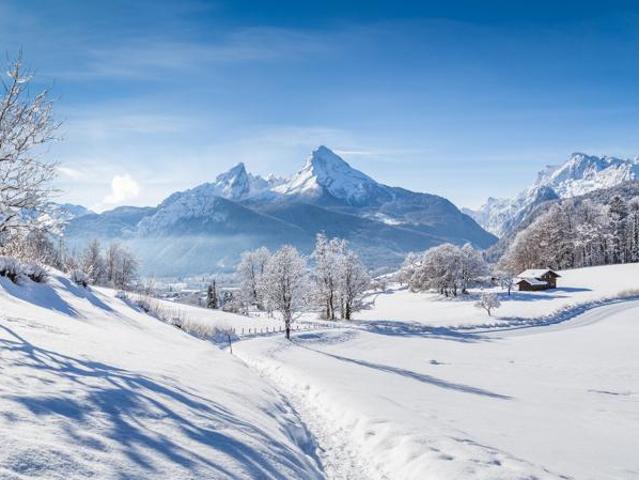 Immobilie kaufen in Namlos, Tirol