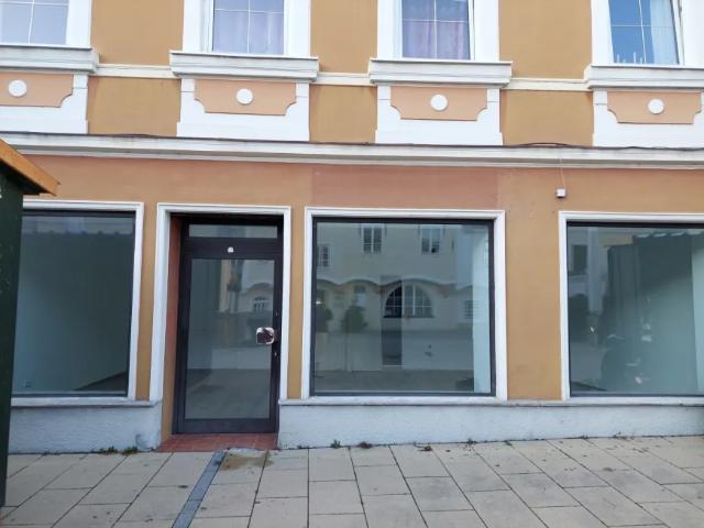Immobilie mieten in Pöchlarn, Niederösterreich