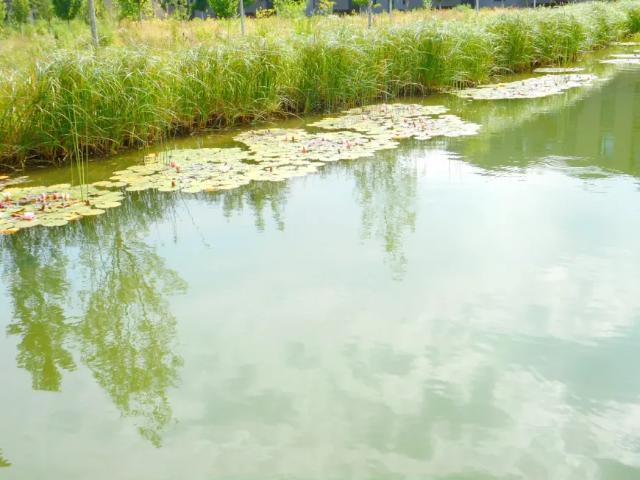 Immobilie mieten in Eggenberg, Graz