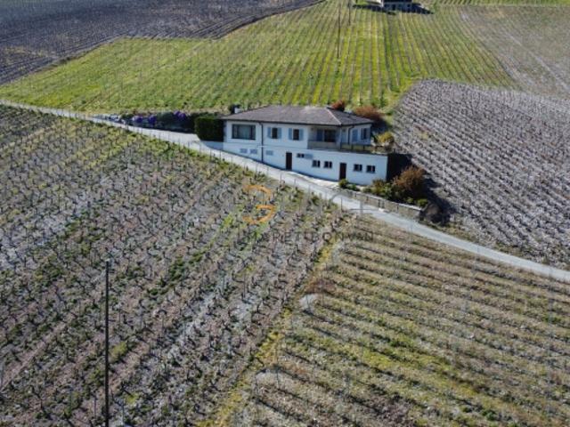 Einfamilienhaus kaufen in Dugny, Leytron, Wallis