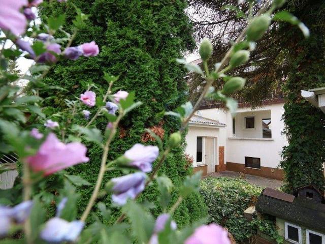 Haus kaufen in Reinheim, Hessen
