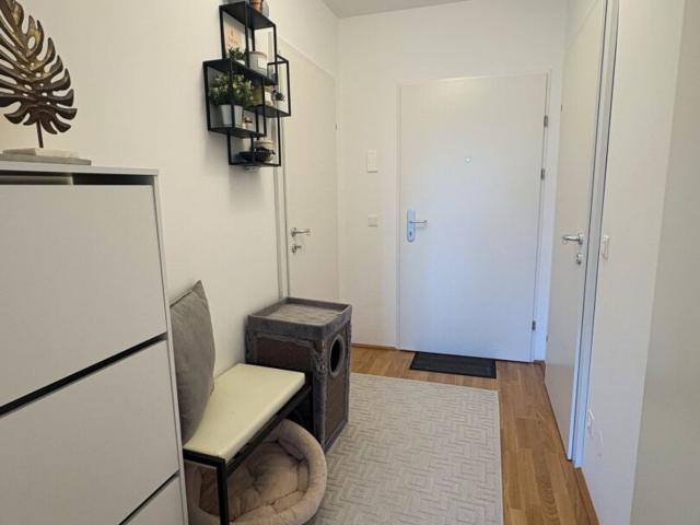 Wohnung mieten in Mödling, Bezirk Mödling