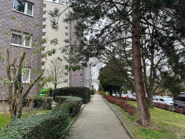 Apartment mieten in Hemmingen, Baden-Württemberg