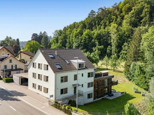 Dachwohnung kaufen in Fischingen, Thurgau