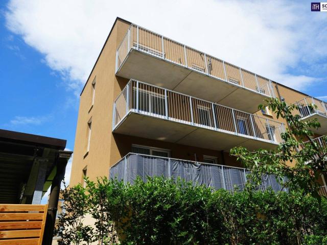 Apartment mieten in Kleinsulz, Steiermark
