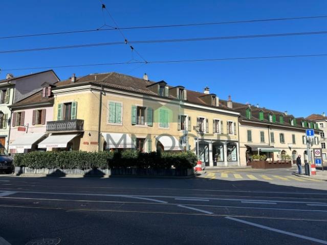 Wohnung kaufen in Carouge (GE)