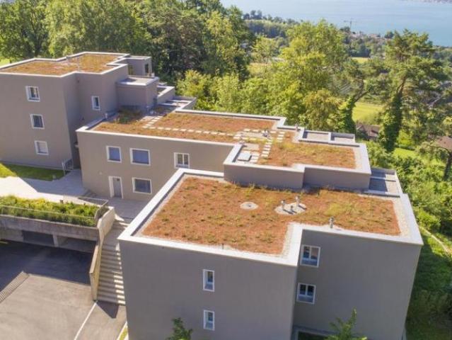 Apartment mieten in Meilen, Zürich