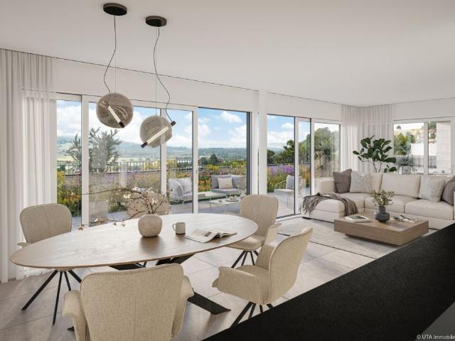 Terrassenwohnung kaufen in Klingnau, Bezirk Zurzach