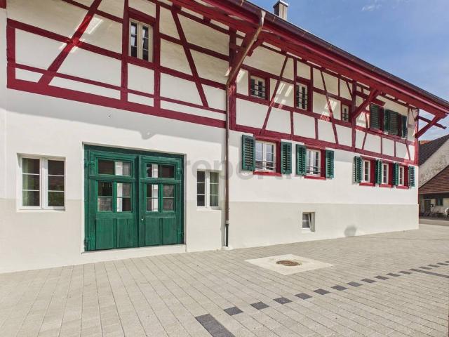 Wohnung mieten in Stadel, Zürich