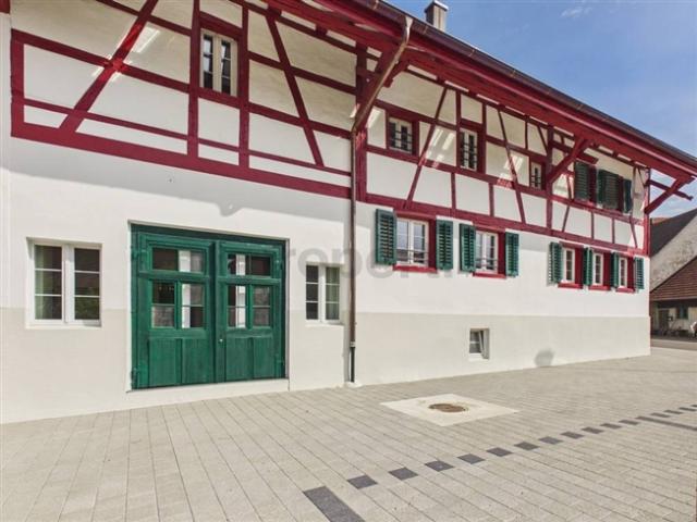 Wohnung mieten in Stadel, Zürich