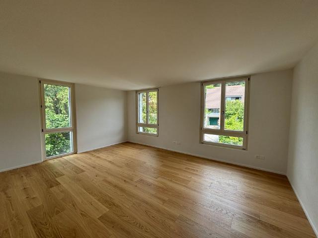 Apartment mieten in Rüttenen, Amtei Solothurn-Lebern