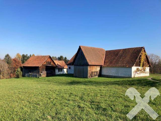 Haus kaufen in Kirchberg an der Raab, Steiermark