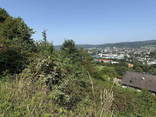 Erdgeschosswohnung kaufen in Erbach, Alb-Donau-Kreis