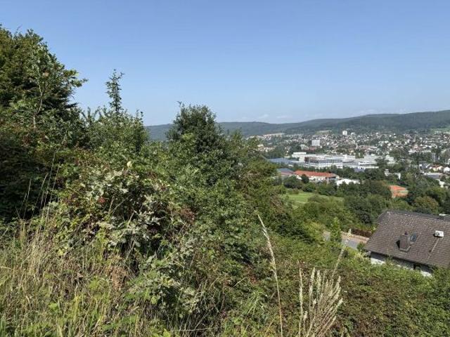 Erdgeschosswohnung kaufen in Erbach, Baden-Württemberg
