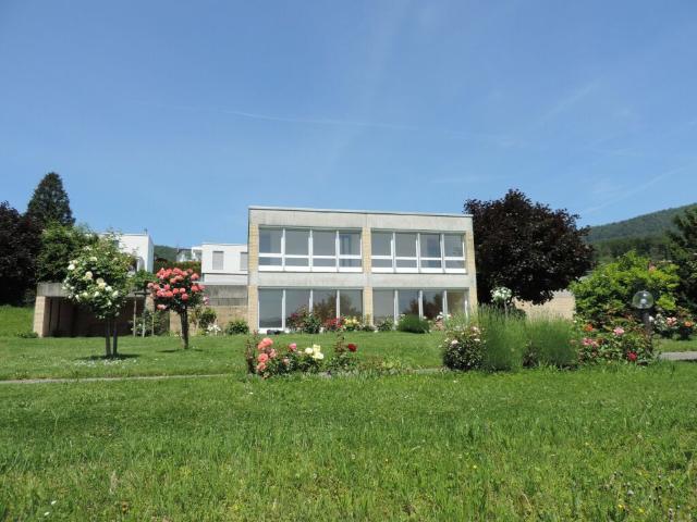 Einfamilienhaus kaufen in Hägendorf, Solothurn