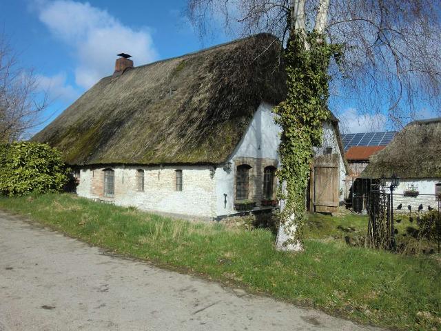 Haus kaufen in Bergenhusen, Kreis Schleswig-Flensburg