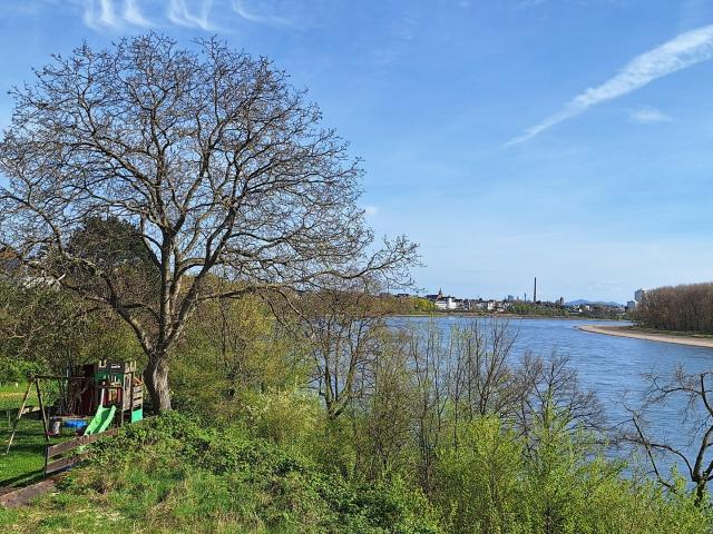Wohnung mieten in Ensen, Köln