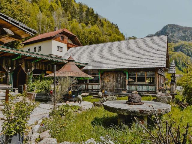 Immobilie kaufen in Bezirk Steyr-Land, Oberösterreich